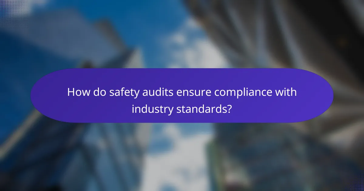 How do safety audits ensure compliance with industry standards?